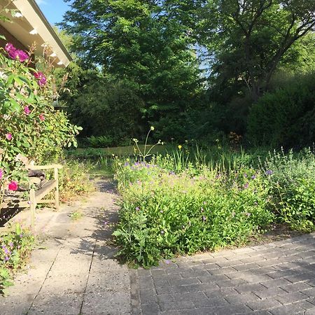 Huisje De Geluksvogel Zorgvlied ภายนอก รูปภาพ