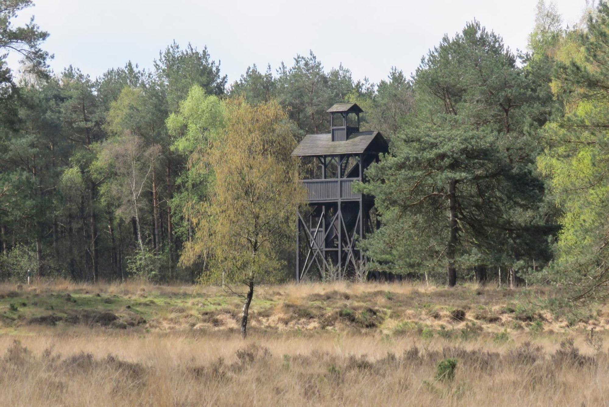 Huisje De Geluksvogel Zorgvlied ภายนอก รูปภาพ